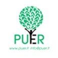 Puer